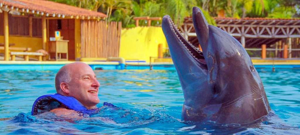 Dolphin Trainer for a day in Vallarta.