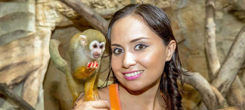 Girl with Monkey in Vallarta, Mexico.