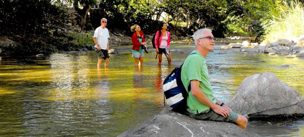 Rio Cuale, PV.
