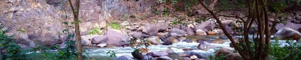 Rio Cuale, Puerto Vallarta.