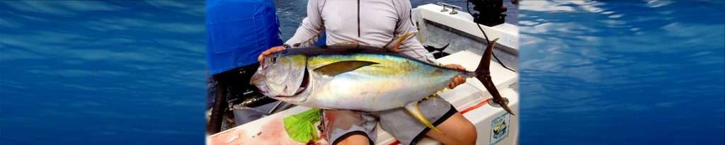 Fishing in Vallarta