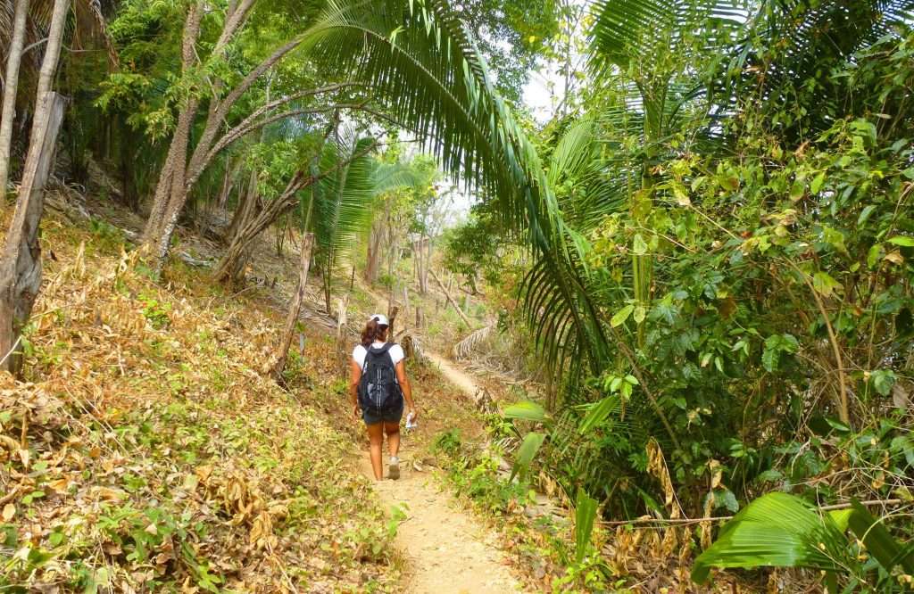 Puerto Vallarta hiking