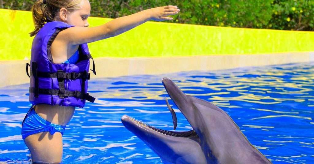 Girl feeding a Dolphin in Vallarta..