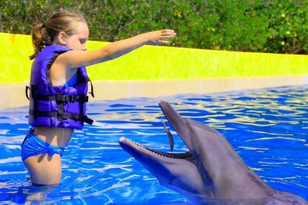 Girl feeding a dolphin in Puerto Vallarta.