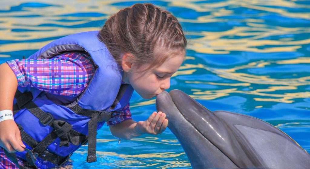 Young girl kissing a Dolphin in Vallarta.