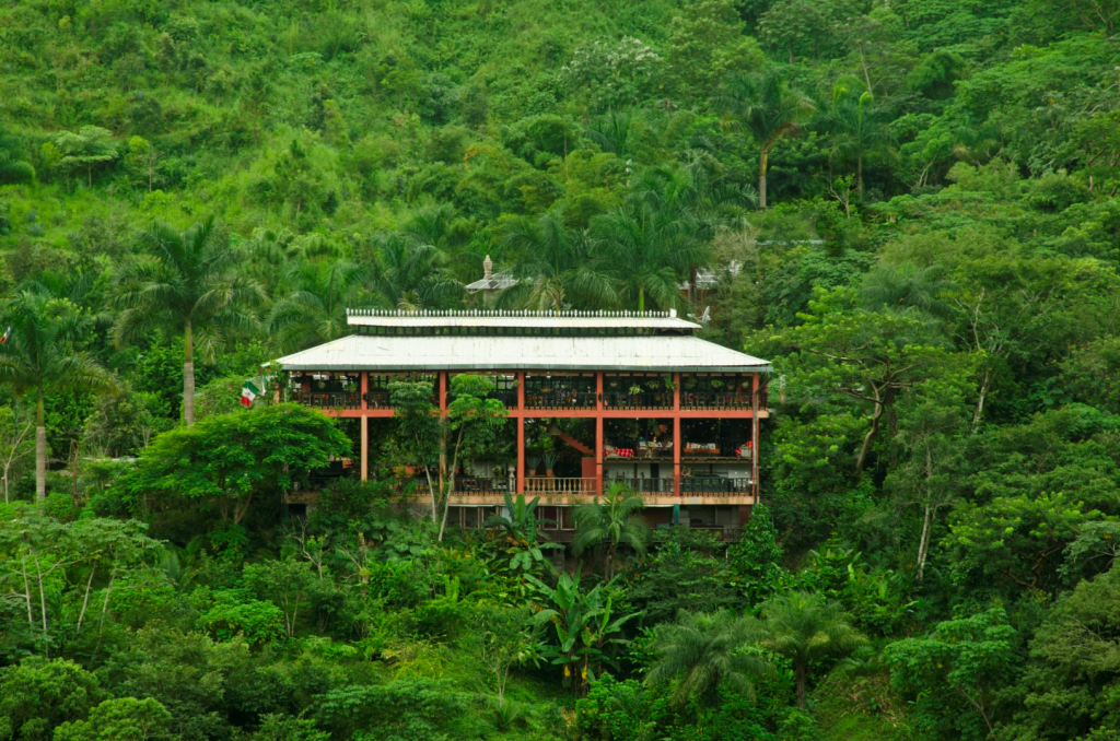 Botanical Garrden Vallarta.