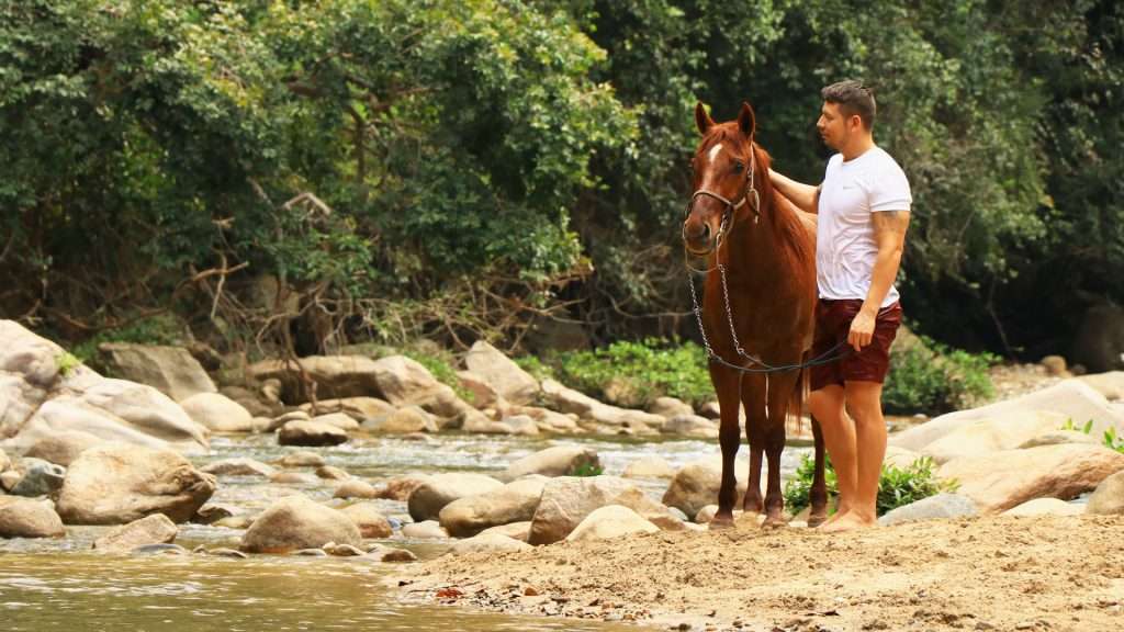 Friends in Vallarta.