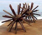 Urchins, Vallarta.